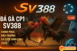 Đá Gà CP1 SV388: Chinh Phục Đấu Trường Cá Cược Đỉnh Cao 2025